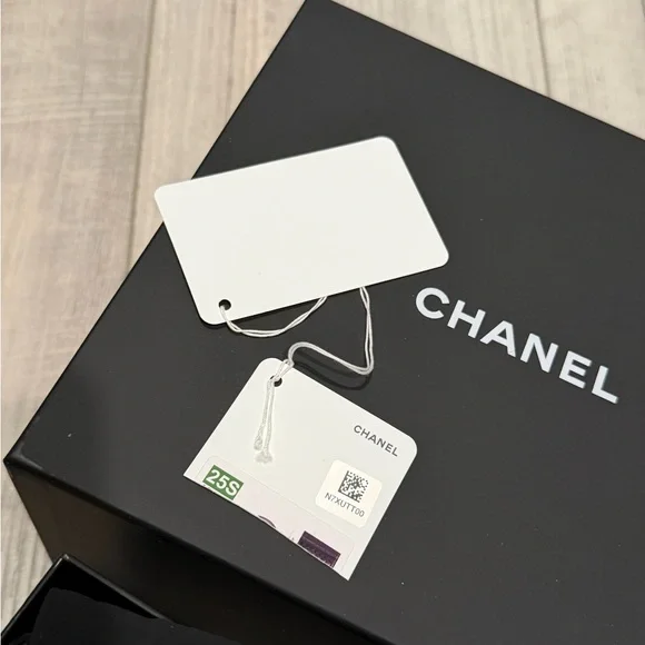 CHANEL BLACK MINI HOBO MESH POUCH RUNWAY RARE NEW - Picture 12 of 13